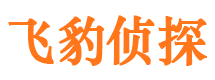 坡头侦探公司